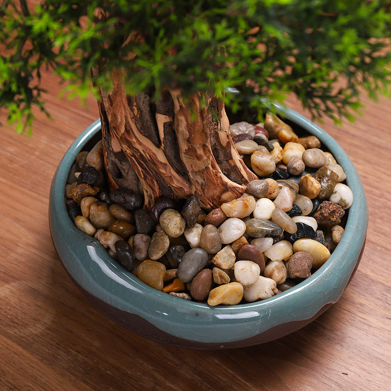 Welcome Pine Bonsai Simulation New Chinese Artificial Plant Hotel Club Entrance Living Wood crafts