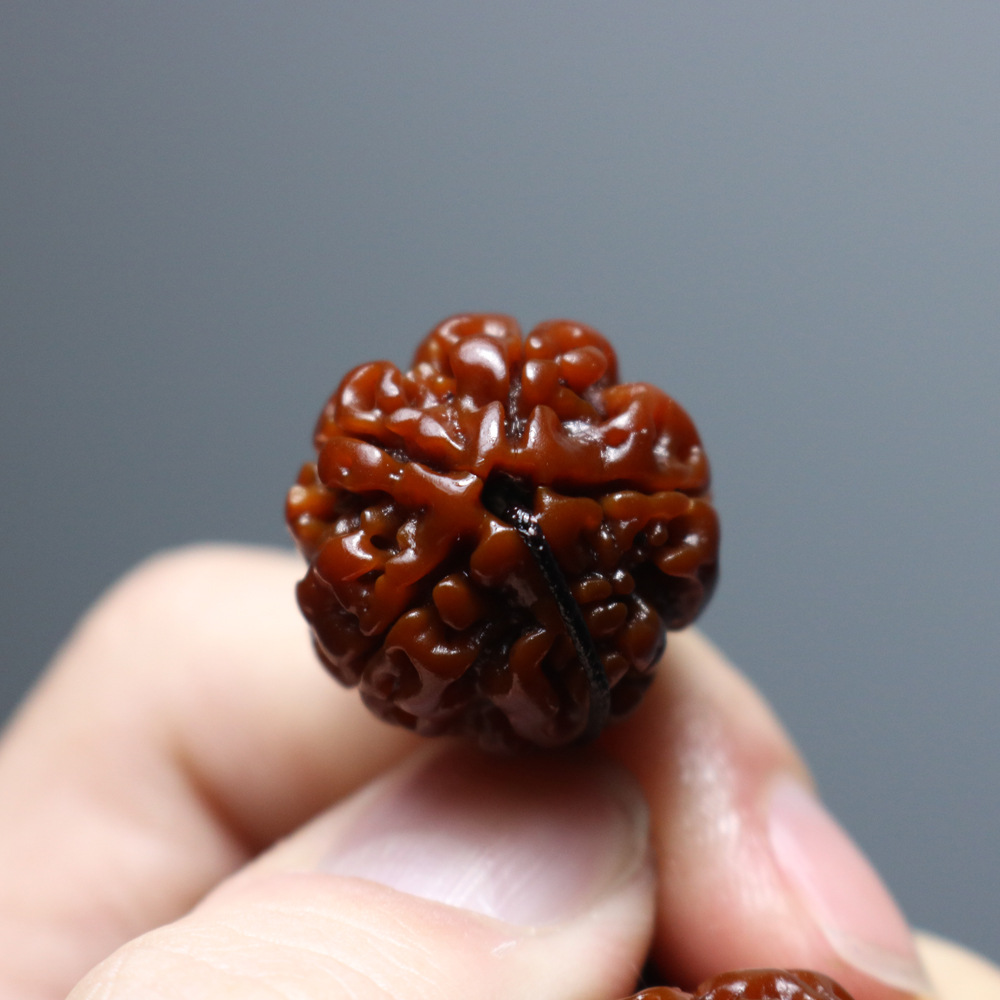 Nepal Rudraksha Bracelet Machine Brush Jadified Coated Pulp Five Faces Corpulent Big Rudraksha Beads Buddha Beads Wholesale