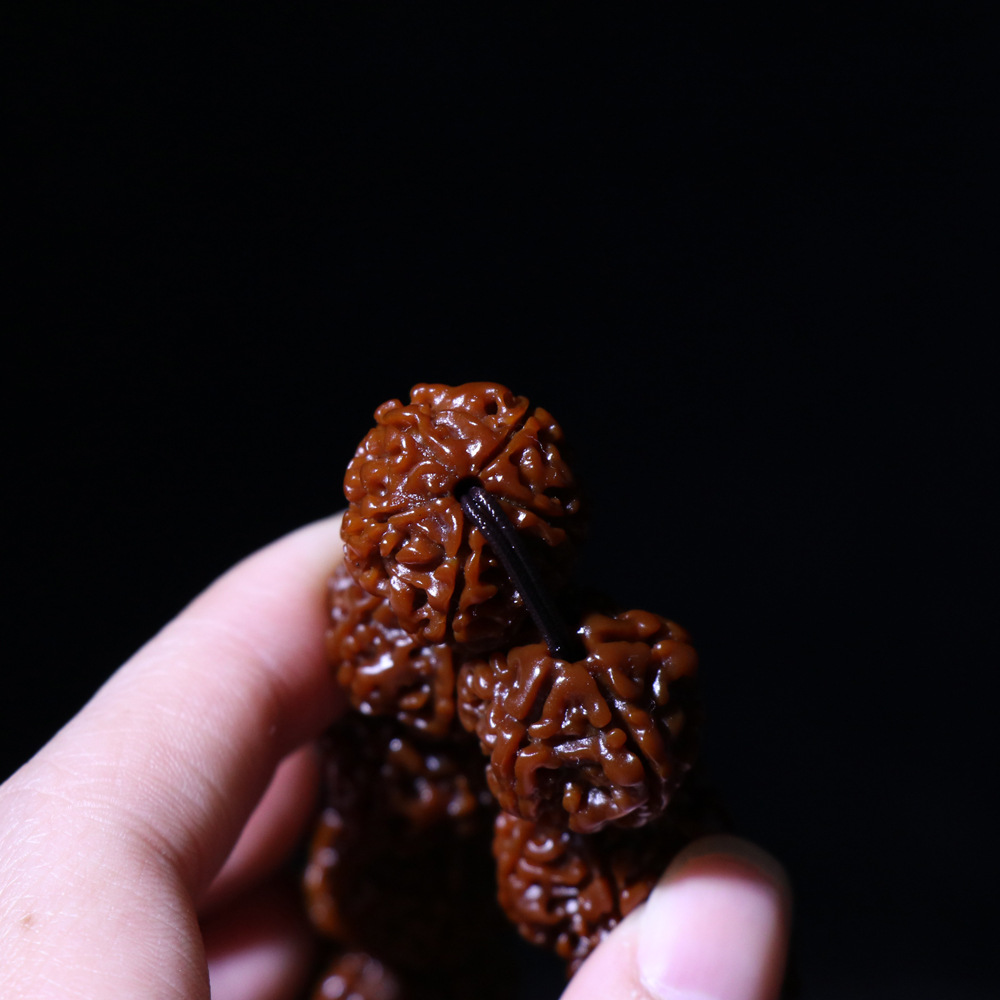 Nepal Rudraksha Bracelet Machine Brush Jadified Coated Pulp Five Faces Corpulent Big Rudraksha Beads Buddha Beads Wholesale