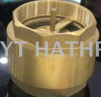 Valve vertical check valve gate valve