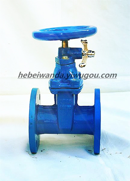 Locking type Rubber-seat non rising stem gate valve