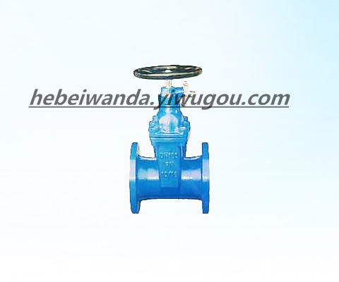 Locking type Rubber-seat non rising stem gate valve