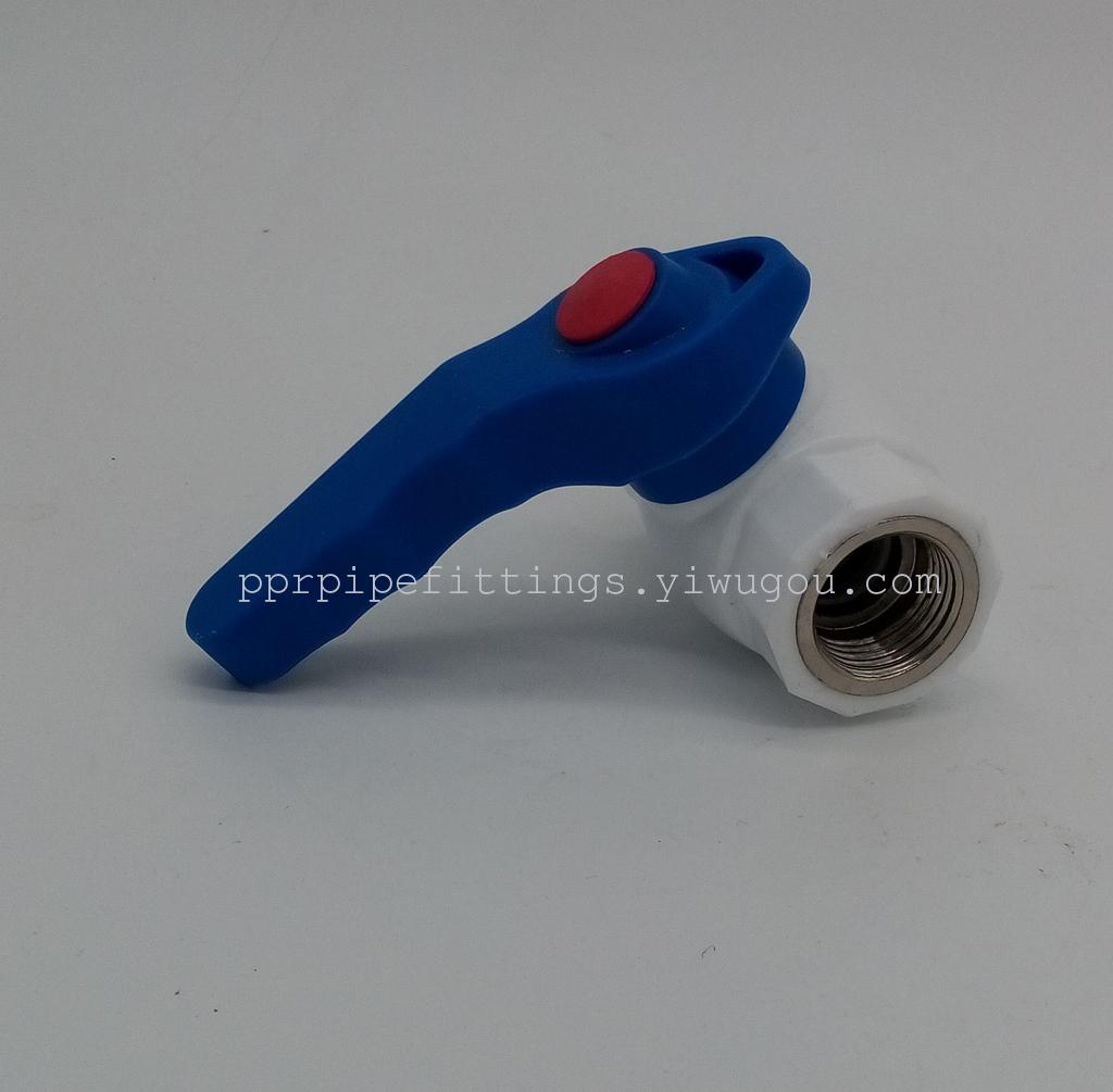 PPR steel core valve foreign trade