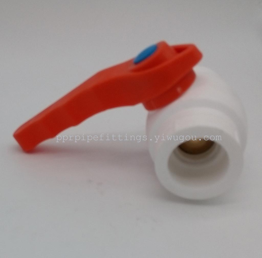 PPR steel core valve foreign trade