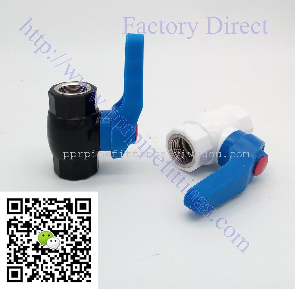PPR steel core valve foreign trade