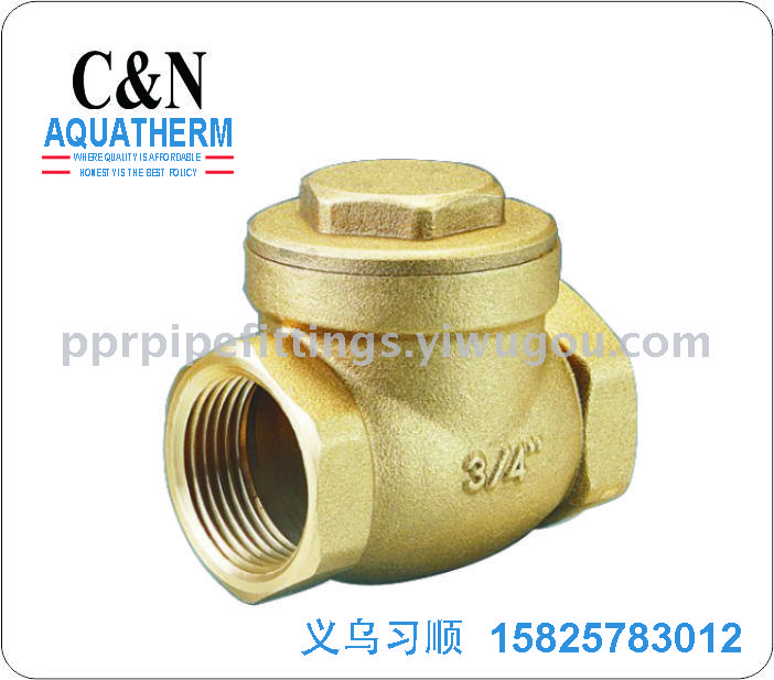 The wire buckle valve internal thread copper valve
