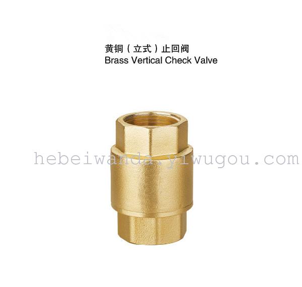 Brass vertical check valve