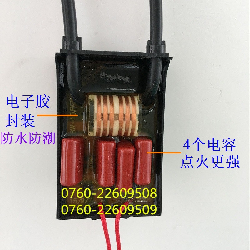 Hotel Commercial Fierce Fire Stove Stove Pulse Igniter Dongba Frying Stove 220V High Pressure Bag Fume Purifier Igniter