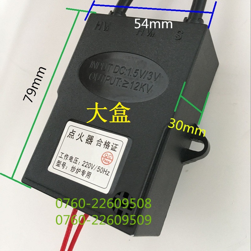 Hotel Commercial Fierce Fire Stove Stove Pulse Igniter Dongba Frying Stove 220V High Pressure Bag Fume Purifier Igniter