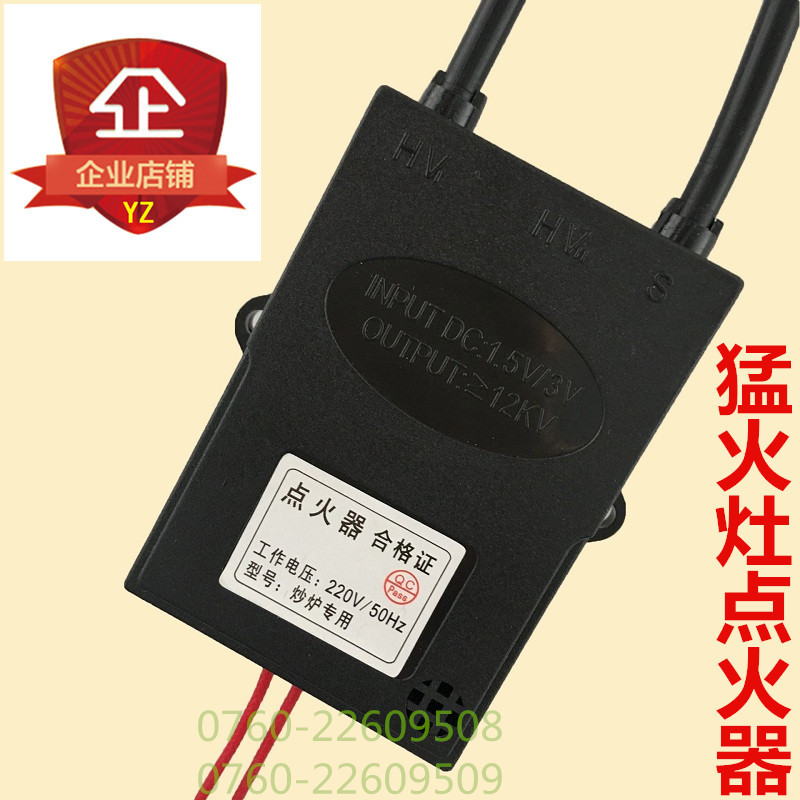 Hotel Commercial Fierce Fire Stove Stove Pulse Igniter Dongba Frying Stove 220V High Pressure Bag Fume Purifier Igniter