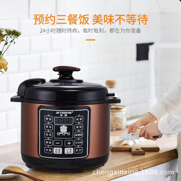 Hemisphere Electric Pressure Cooker 5L Rice Cookers Smart Rice Cooker Household Multi-Functional Electric Pressure Cooker Chamber of Commerce Gift Delivery