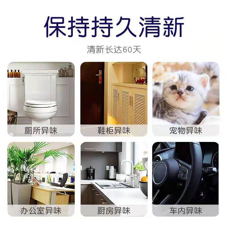 Solid Aromatherapy Air Freshing Agent Long-Lasting Japanese Imported Bedroom Wardrobe Home Car Toilet