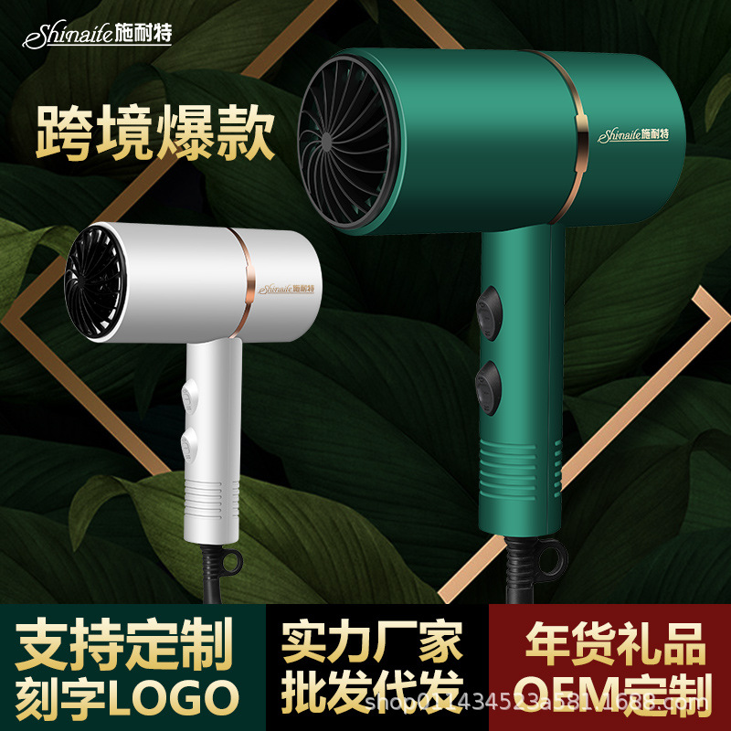 Internet Celebrity Hammer Electric Hair Dryer Household Anion Hair Salon High Power Hot and Cold Hair Dryer One Piece Dropshipping TikTok Gift