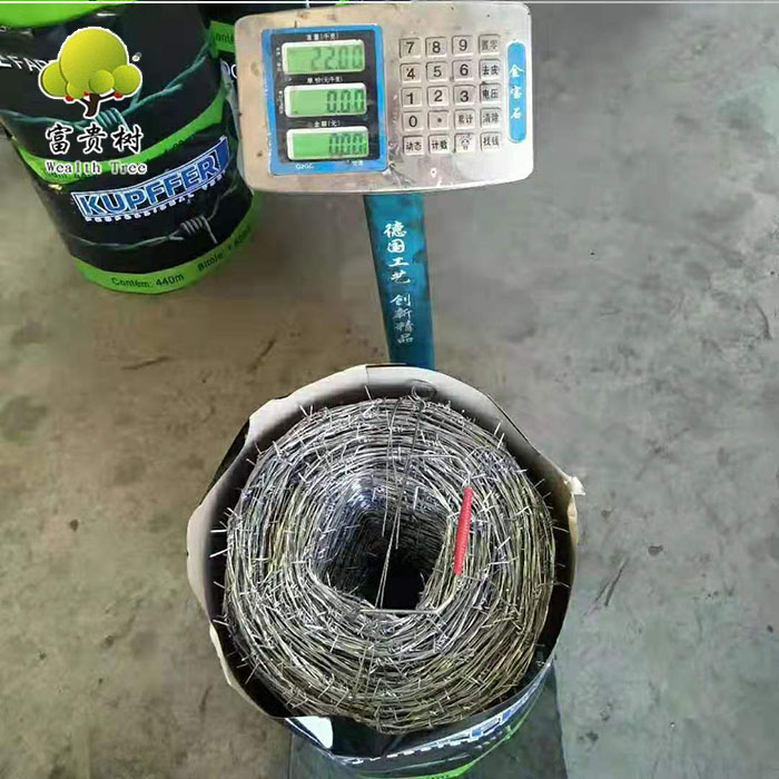 1.6mm BWG16 Galvanized Mild Steel Barbed Wire Antitheft Security Barbed Wire Factory Direct Sale