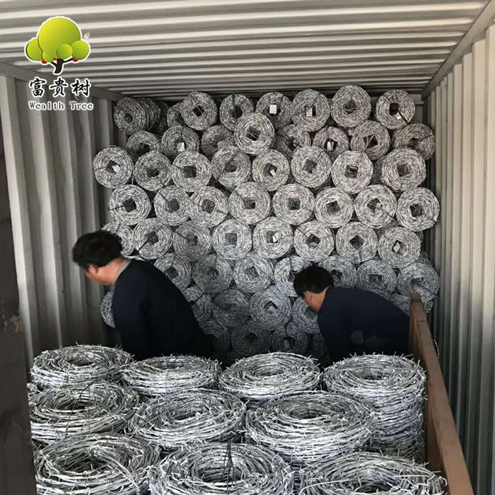 1.6mm BWG16 Galvanized Mild Steel Barbed Wire Antitheft Security Barbed Wire Factory Direct Sale