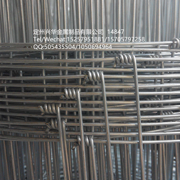 Grassland net breeding net barbed wire cattle wire, wire mesh,