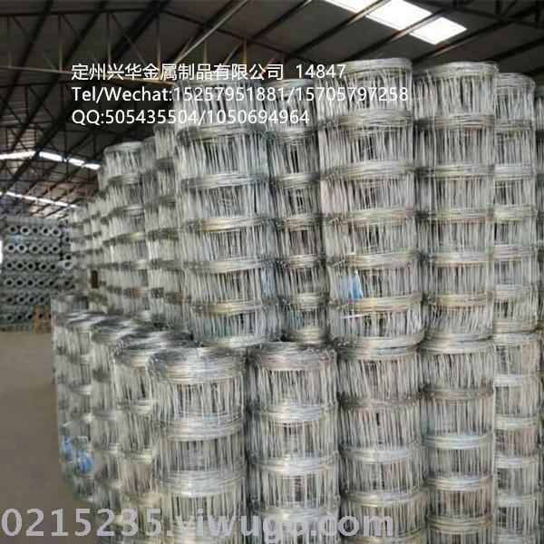 Grassland net breeding net barbed wire cattle wire, wire mesh,