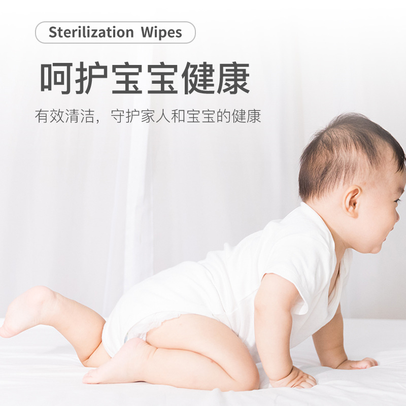 Wholesale 80 Large Bags of Infants with Lid Hand Mouth Cleaning Sanitary Wet Wipe