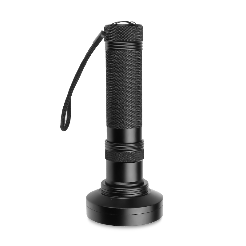 Cross border 100*LED violet light flashlight Test lamp Aluminum alloy violet light flashlight sterilization lamp