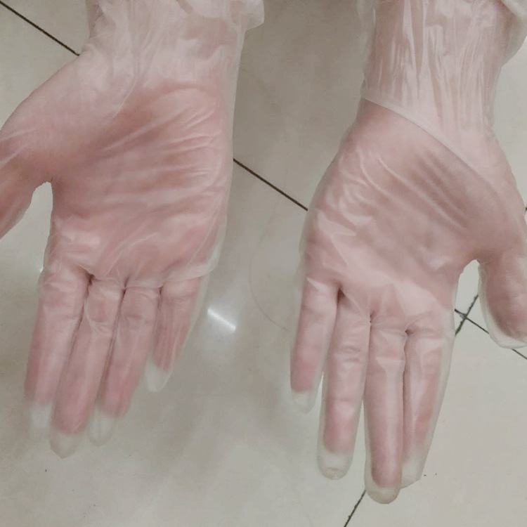 Factory Direct Sales PVC Gloves Disposable Gloves Food Medical Labor Protection Gloves Barber Supplies Dental Gloves