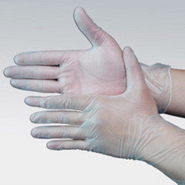 Disposable PVC Gloves Dental Rubber Catering and Beauty Transparent Protective Waterproof Oil-Resistant Labor Protection Gloves Wholesale