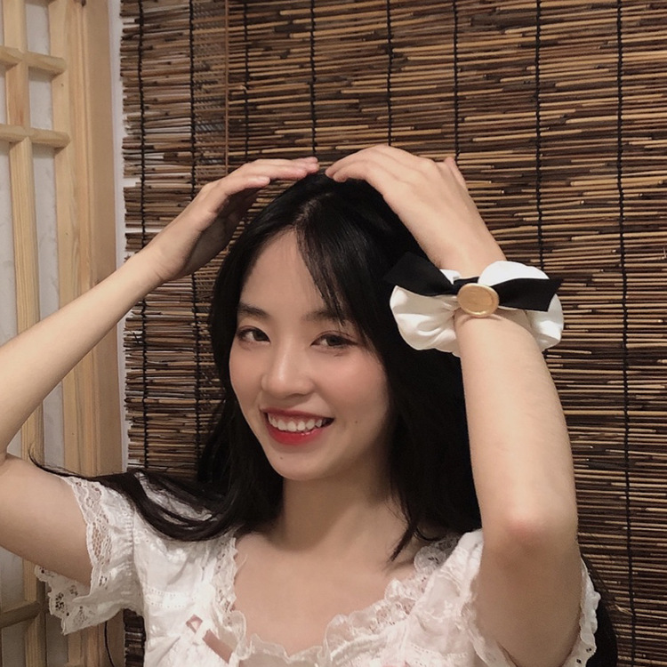 Texture! Black and White Bow Large Intestine Ring Hair Band Female Korean Ins Simple Hair Accessories Bowknot Tie
