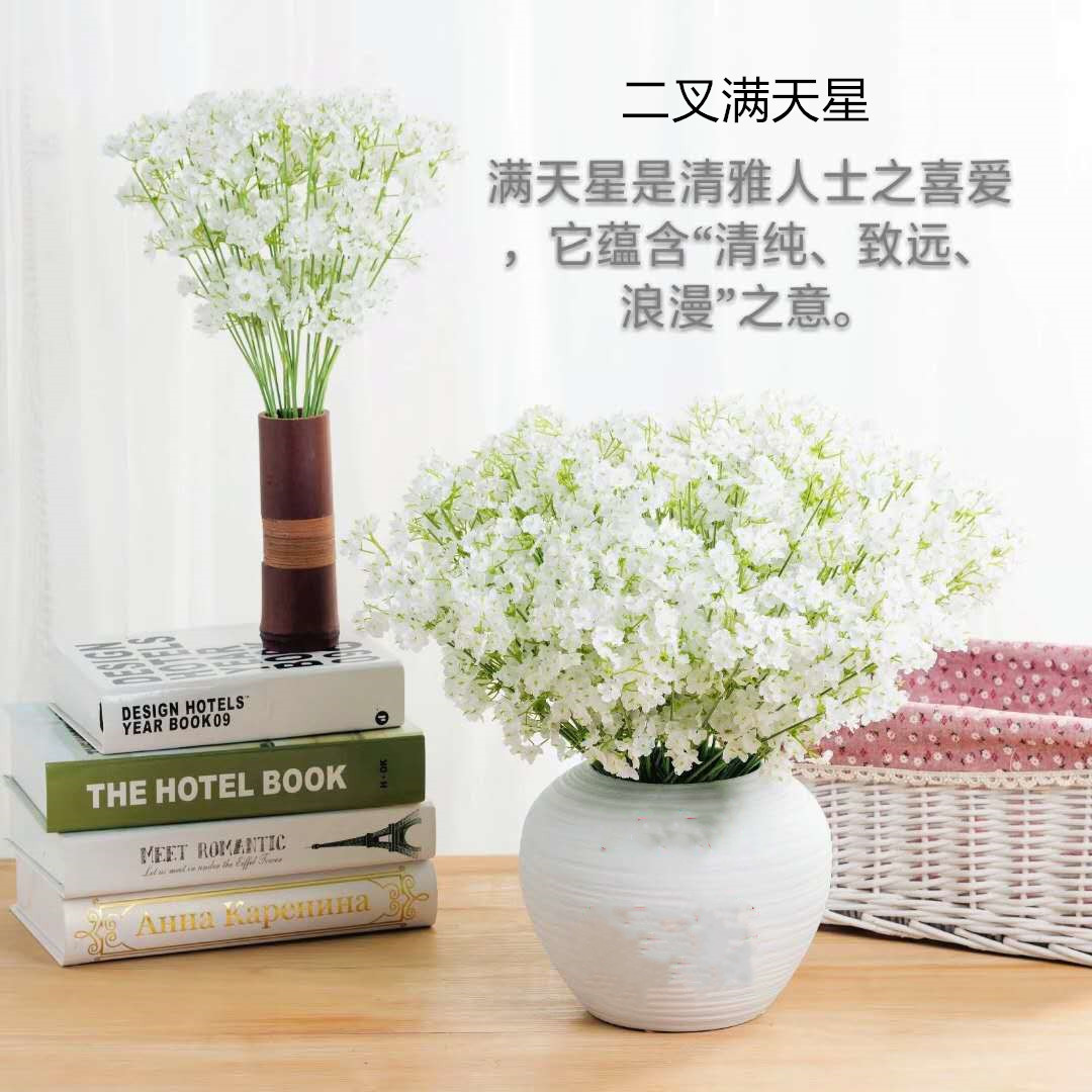 2 Fork Starry Sky Long Bouquet Home Wedding Mini Plastic ArtificialFake Flower Flowers Handwriting Flower Accessories