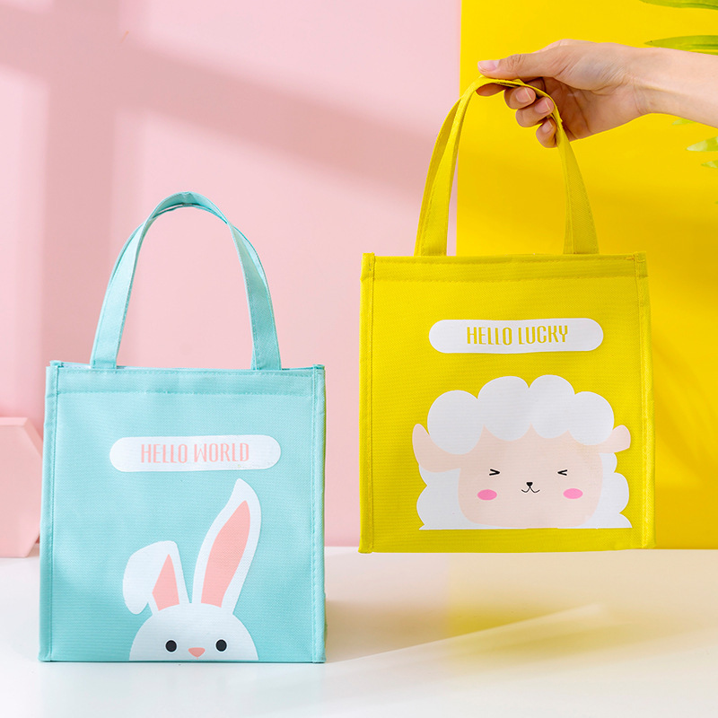 Student Lunch Box Bags for Office Workers Lunch Bag Portable Thick Aluminum Foil Insulated Refrigerated Bag Outdoor Picnic Lunch Bag