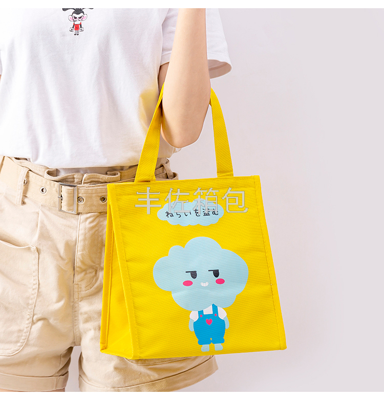New Hipster Portable Lunch Bag Bento Bag Waterproof Take-out Insulated Bag Ice Bag Lunch Thermal Bag
