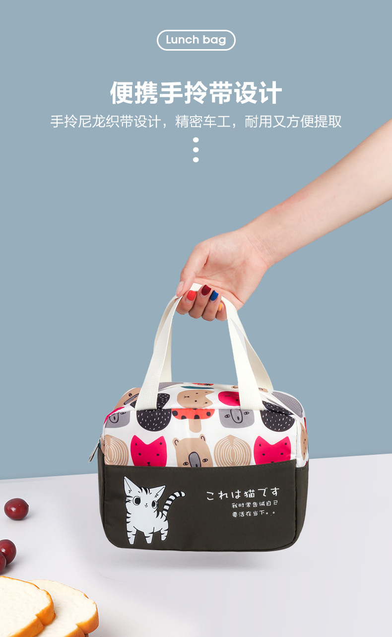 Amazon Foreign Trade Thermal Insulated Lunch Bag Portable Outdoor Picnic Lunch Bag Thick Aluminum Foil Ice Pack Lunch Box Bag Customization
