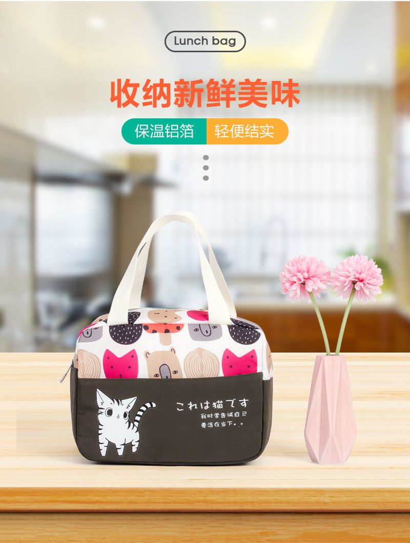 Amazon Foreign Trade Thermal Insulated Lunch Bag Portable Outdoor Picnic Lunch Bag Thick Aluminum Foil Ice Pack Lunch Box Bag Customization
