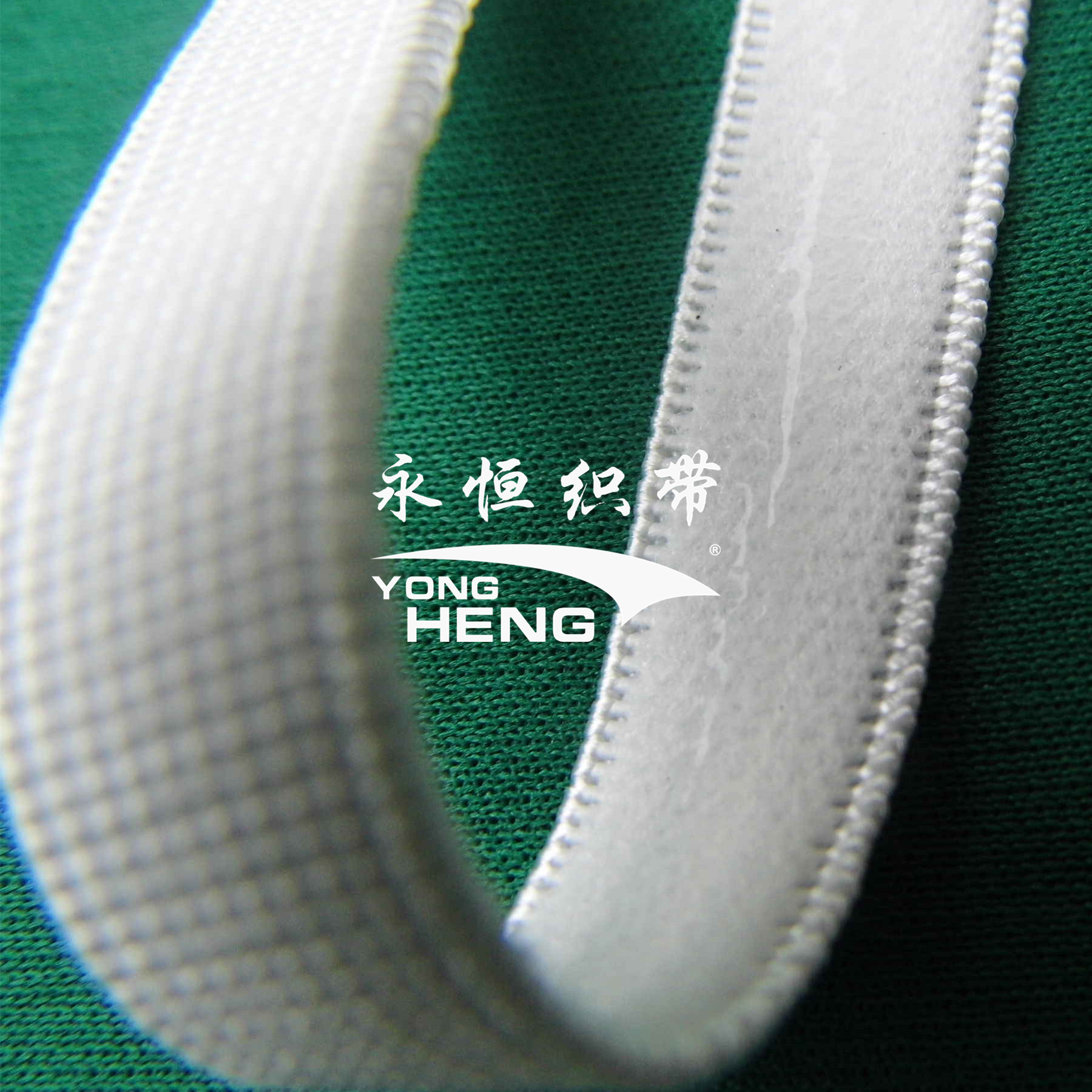 【 eternal webbing 】 manufacturers supply color edge machine tooth edge nylon elastic belt nylon hook webbing
