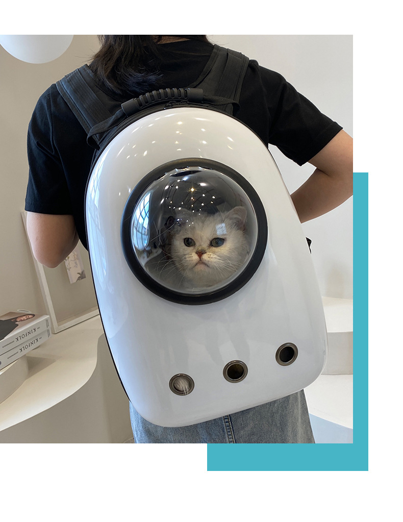 Pet Bag Outdoor Portable Backpack Space Capsule Pet Breathable Crossbody Fully Transparent Cat Carrying Suitcase Schoolbag