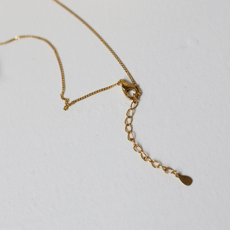 Homemade Black Cut-out Elegant Camellia Necklace Choker Necklace Clavicle Chain Titanium Steel Plated Black Gold 14K Hair Generation Homemade Black Cut-out Elegant Camellia Necklace Choker Necklace Clavicle Chain Titanium Steel Plated Black Gold 14K Hair Generation