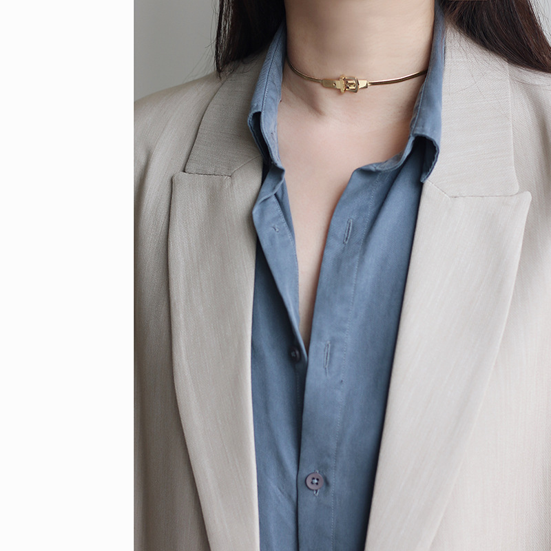 Whale Rain Ornament Belt Buckle Snake Bone Necklace Choker Necklace Necklace Titanium Steel Plated 18K Gold and Silver Color Color Retention Whale Rain Ornament Belt Buckle Snake Bone Necklace Choker Necklace Necklace Titanium Steel Plated 18K Gold and Silver Color Color Retention