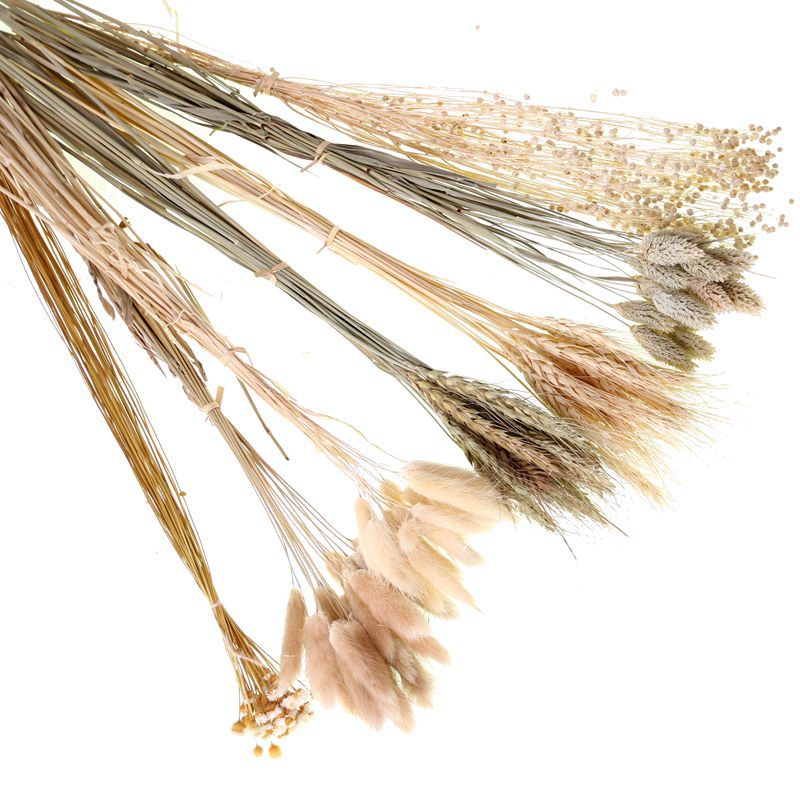 Yunnan Dried Flower Wheat Rabbit Tail Grass Happy Flower Gem Grass Small Bitter Hemp Bouquet Cross-Border Wholesale