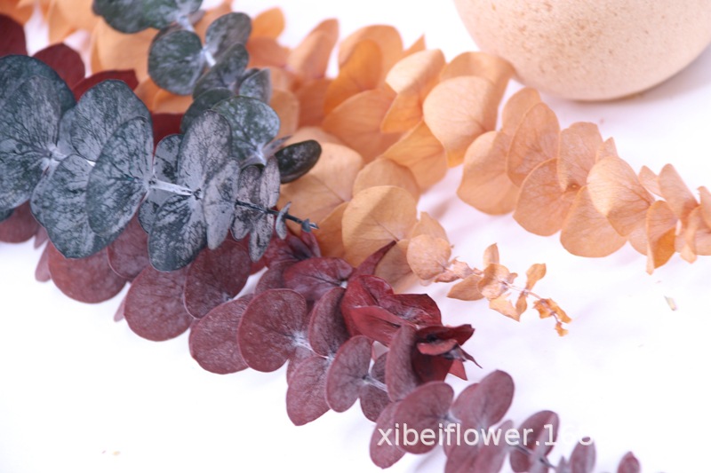 Yunnan Dried Flower Wheat Rabbit Tail Grass Happy Flower Gem Grass Small Bitter Hemp Bouquet Cross-Border Wholesale