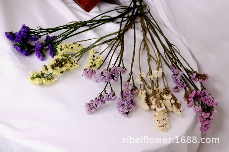 Yunnan Dried Flower Wheat Rabbit Tail Grass Happy Flower Gem Grass Small Bitter Hemp Bouquet Cross-Border Wholesale