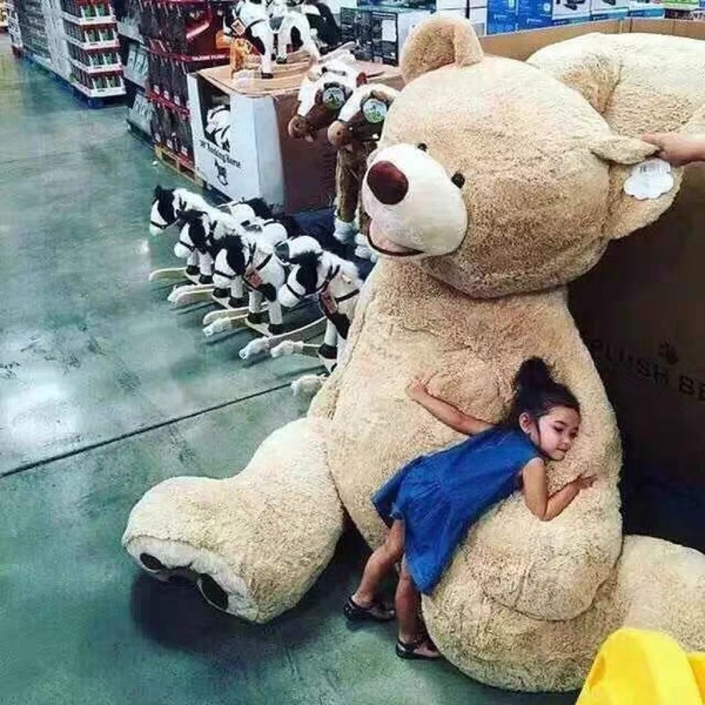 Costco presents a lover with a 2.6-meter giant bear doll as a giftYouTube toy Costco presents a lover with a 2.6-meter giant bear doll as a giftYouTube toy