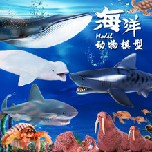 Simulation Model of Marine animals Giant aquarium man-eating shark SHARK Jaws Tiger Children Toy Furnishing articles Simulation Model of Marine animals Giant aquarium man-eating shark SHARK Jaws Tiger Children Toy Furnishing articles