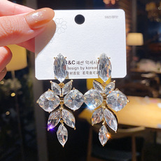 Sterling Silver Needle High-Grade Exquisite Purple Crystal Earrings All-Match Internet Celebrity Temperamental Cold Style Ear Ring Women's Ear Rings Sterling Silver Needle High-Grade Exquisite Purple Crystal Earrings All-Match Internet Celebrity Temperamental Cold Style Ear Ring Women's Ear Rings