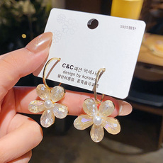 Sterling Silver Needle High-Grade Exquisite Purple Crystal Earrings All-Match Internet Celebrity Temperamental Cold Style Ear Ring Women's Ear Rings Sterling Silver Needle High-Grade Exquisite Purple Crystal Earrings All-Match Internet Celebrity Temperamental Cold Style Ear Ring Women's Ear Rings