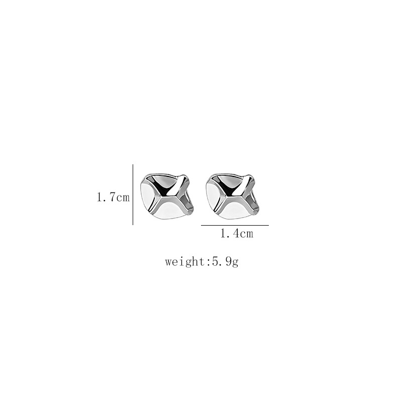 Silver Needle Irregular Convex Lava Stone Stud Earrings Stylish and Simple Personality Square Geometric Frosty Style Earrings Earrings