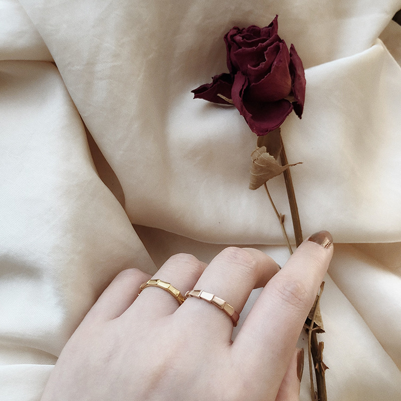 European and American Minimal Art All-Match Snake-Shaped Bamboo Ring Arrow Simple Fashion Colored Gold Ring Index Finger Titanium Steel Plated 18K Color Retention