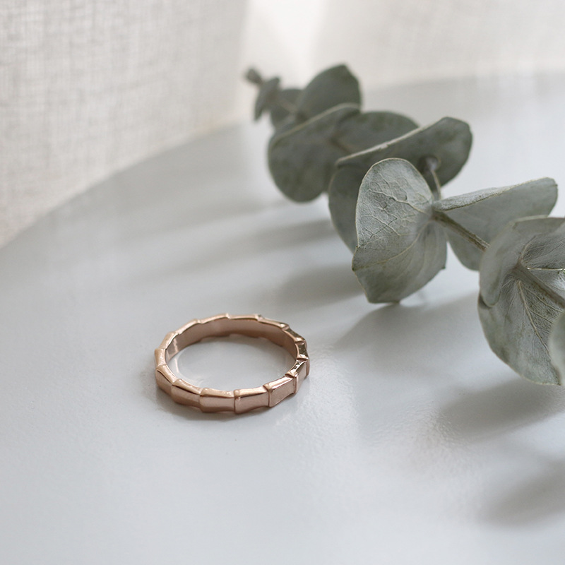 European and American Minimal Art All-Match Snake-Shaped Bamboo Ring Arrow Simple Fashion Colored Gold Ring Index Finger Titanium Steel Plated 18K Color Retention