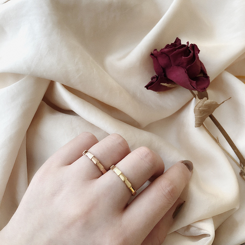 European and American Minimal Art All-Match Snake-Shaped Bamboo Ring Arrow Simple Fashion Colored Gold Ring Index Finger Titanium Steel Plated 18K Color Retention