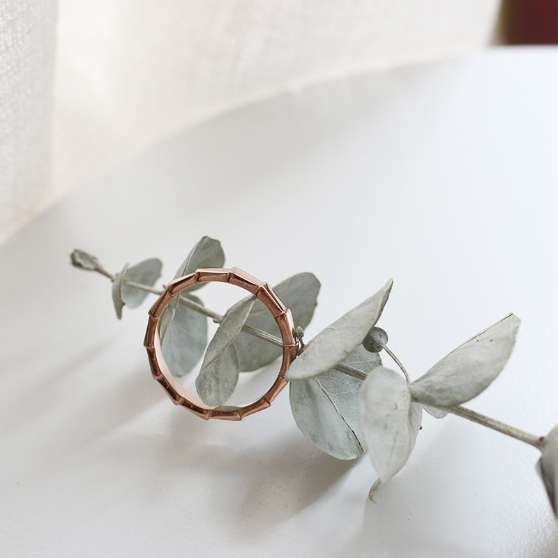 European and American Minimal Art All-Match Snake-Shaped Bamboo Ring Arrow Simple Fashion Colored Gold Ring Index Finger Titanium Steel Plated 18K Color Retention