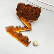 Factory High Quality Supply Natural Color Pearl Chicken Feather Cloth Edge Clothing Accessories Jewelry Decoration Feather Handicraft Factory High Quality Supply Natural Color Pearl Chicken Feather Cloth Edge Clothing Accessories Jewelry Decoration Feather Handicraft