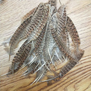 Factory High Quality Supply Natural Color Pearl Chicken Feather Cloth Edge Clothing Accessories Jewelry Decoration Feather Handicraft Factory High Quality Supply Natural Color Pearl Chicken Feather Cloth Edge Clothing Accessories Jewelry Decoration Feather Handicraft