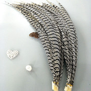 Factory High Quality Supply Natural Color Pearl Chicken Feather Cloth Edge Clothing Accessories Jewelry Decoration Feather Handicraft Factory High Quality Supply Natural Color Pearl Chicken Feather Cloth Edge Clothing Accessories Jewelry Decoration Feather Handicraft
